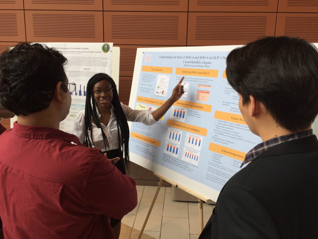 Student presenting research poster