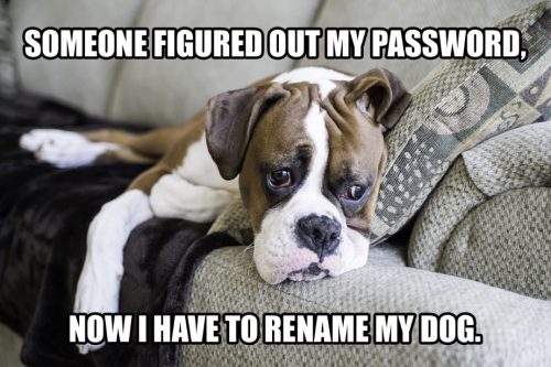 Meme with a sad dog with "Someone figured out my password. Now I have to rename my dog."