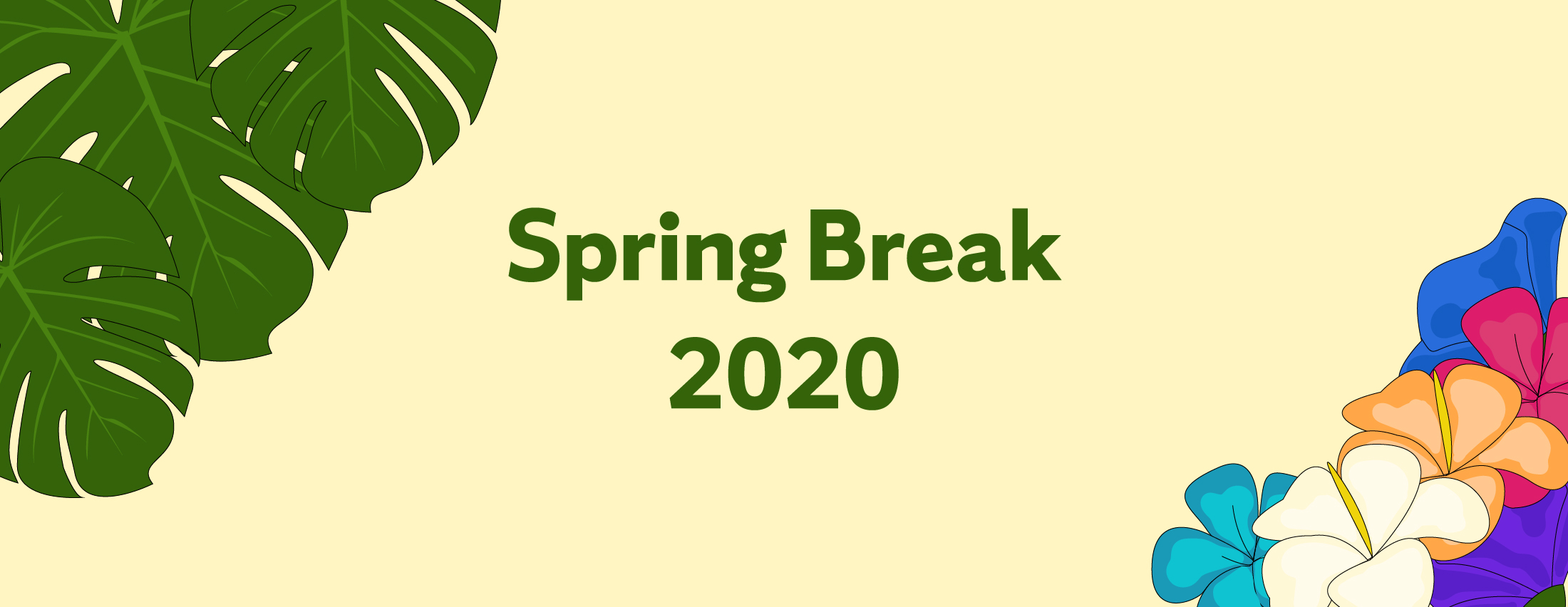 Spring Break on a Budget