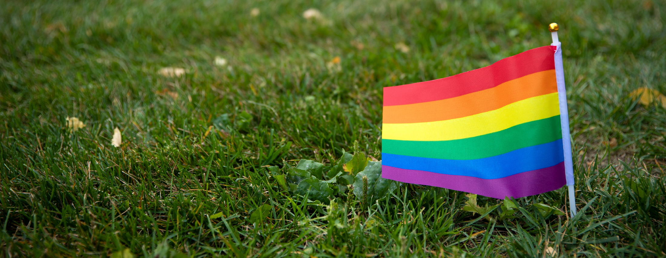 5 Famous Historical Figures to Honor During LGBTQ+ History Month