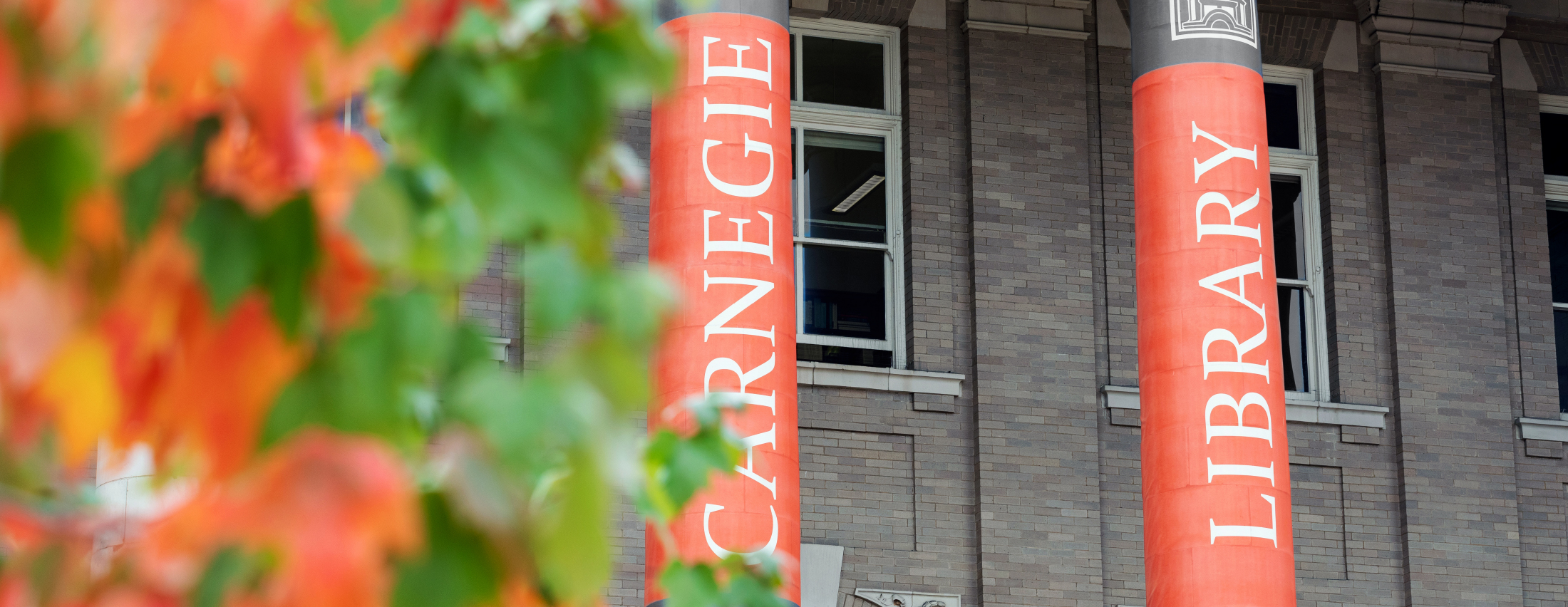 Syracuse University Libraries Make Succeeding Simpler!