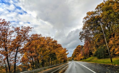 Orange, red and yellow leaves frame a country road. 