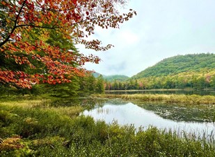 A glassy pond surrounded by rolling hills with changing leaves. 