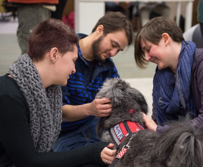 Three students surround and pet a pet therapy dog