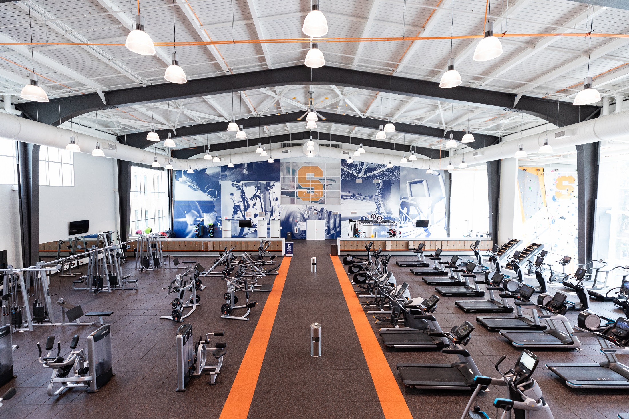 Finding Which Workout Works for You