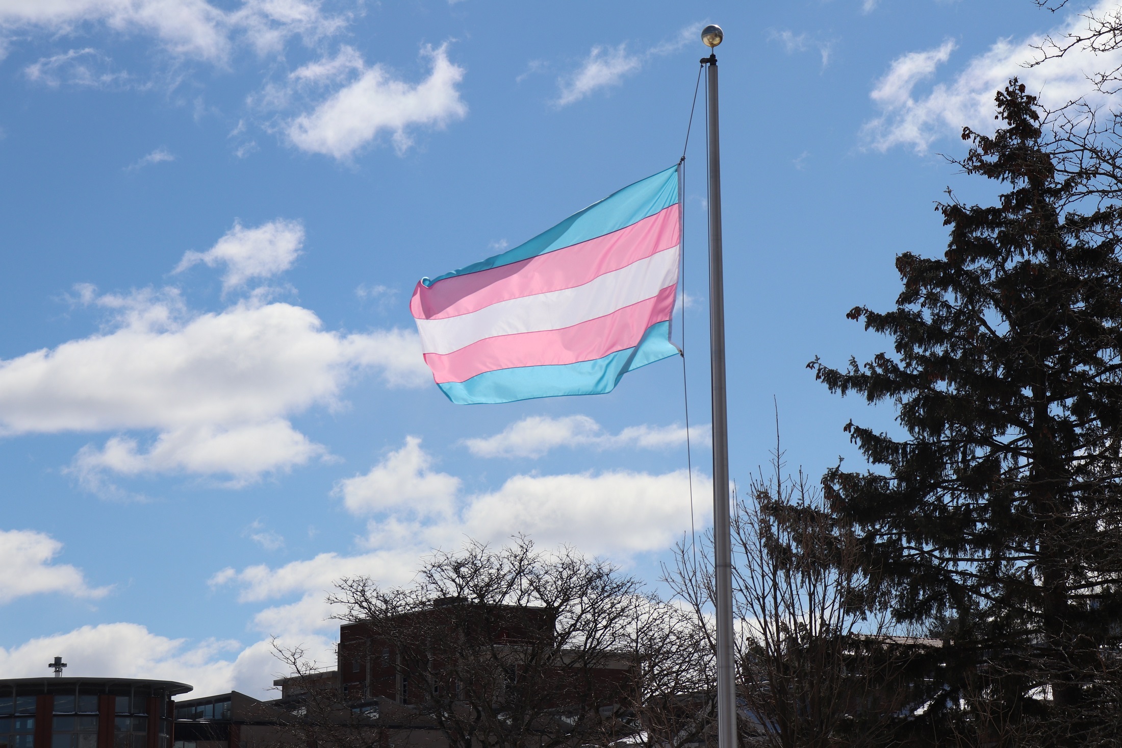 Honoring Trans Week of Liberation