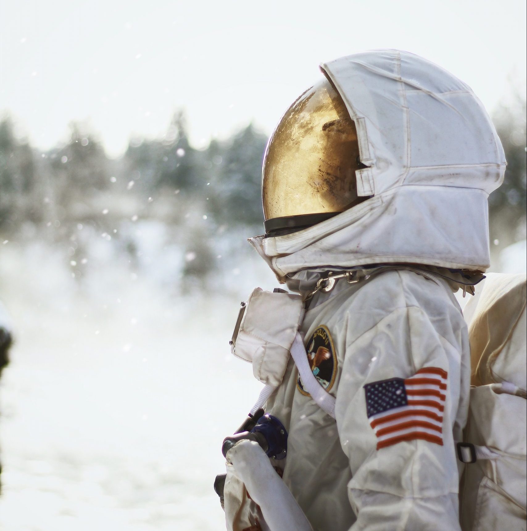 Astronaut with an American flag design on the arm of the suit.
