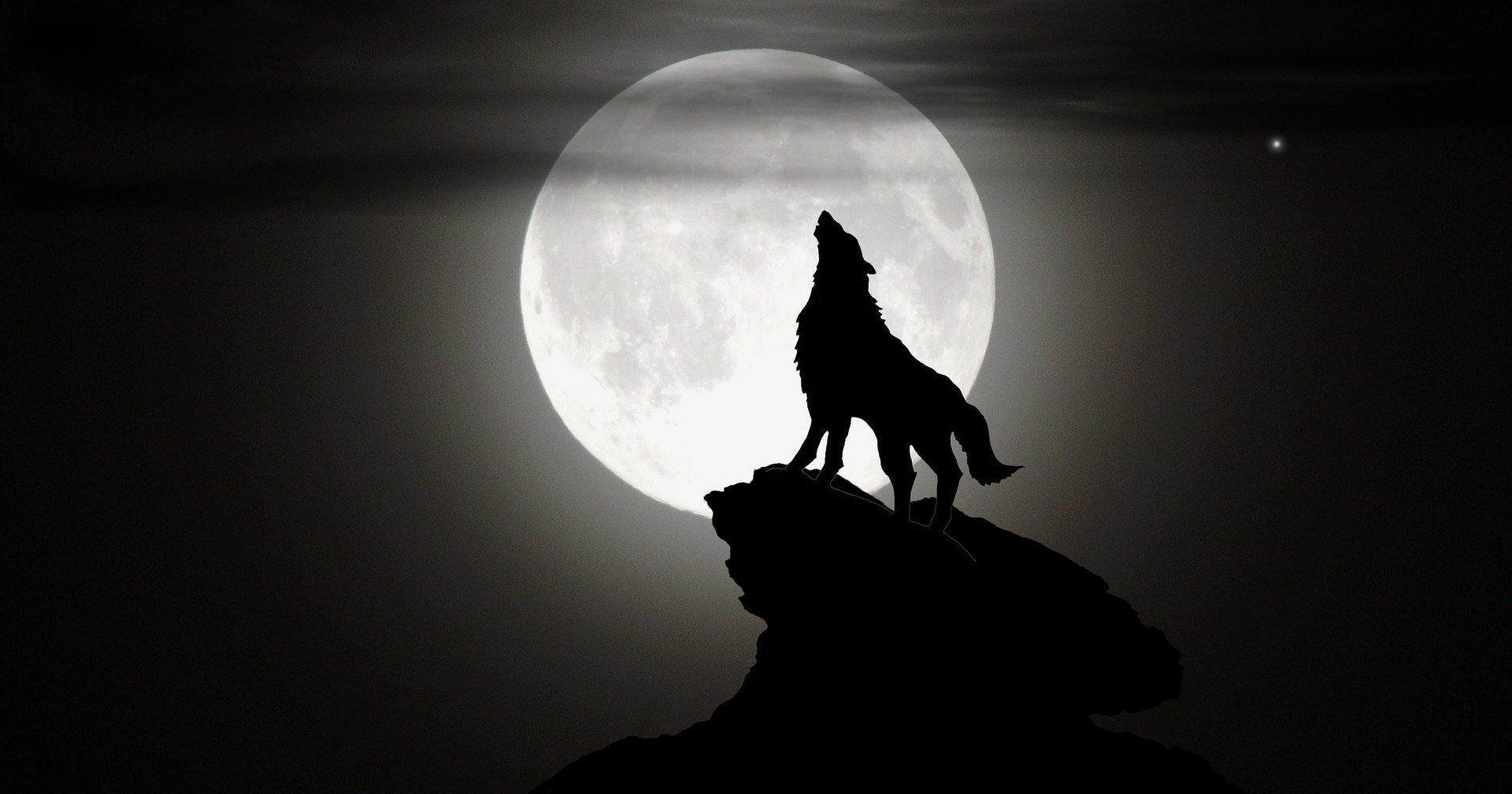 A wolf stands on a rock and howls, backlit by the full moon.