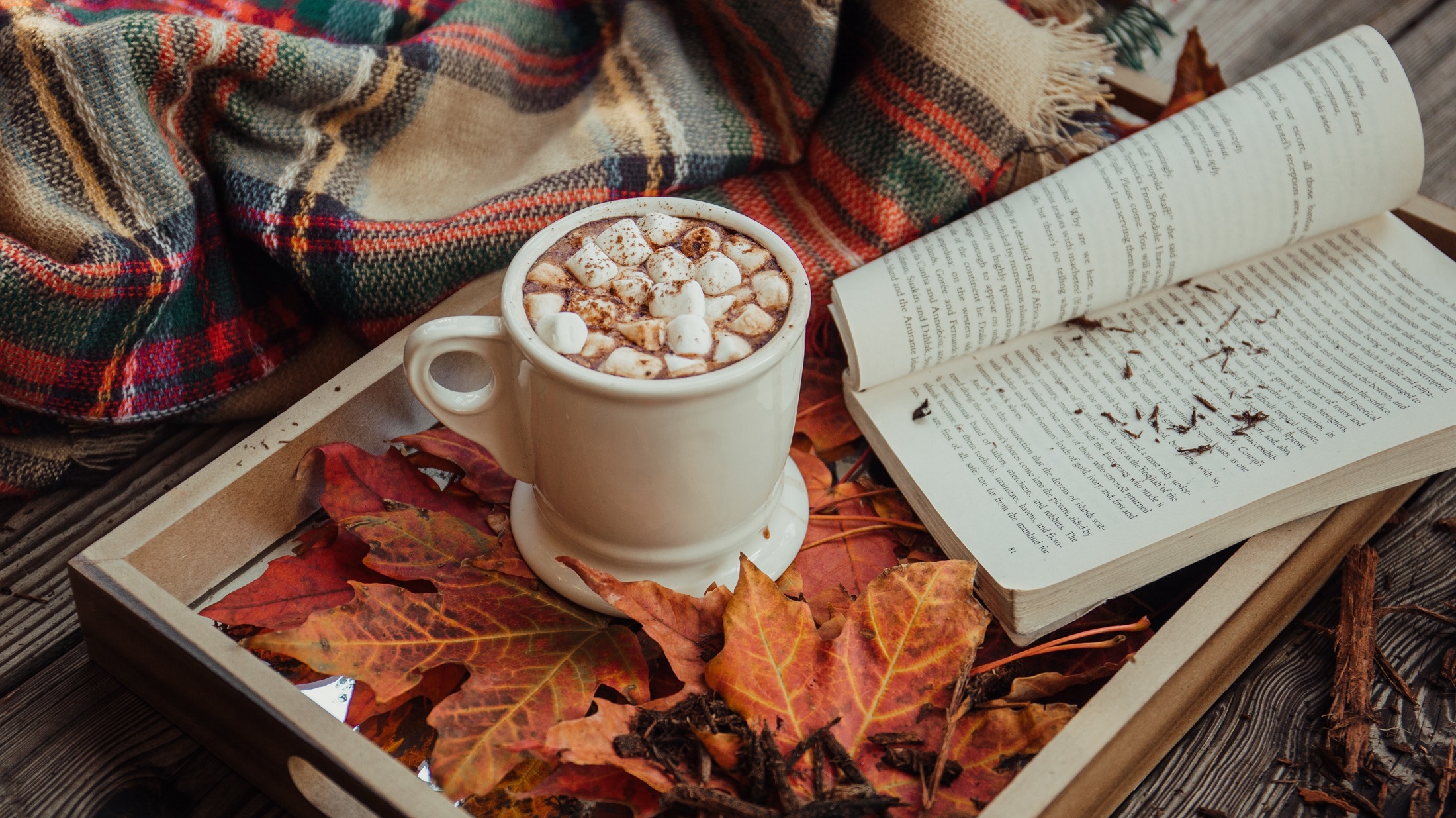 A mug of hot chocolate sits in a tray filled with autumn leaves. On one side of the mug is a plaid scarf, and on the other is an open book.