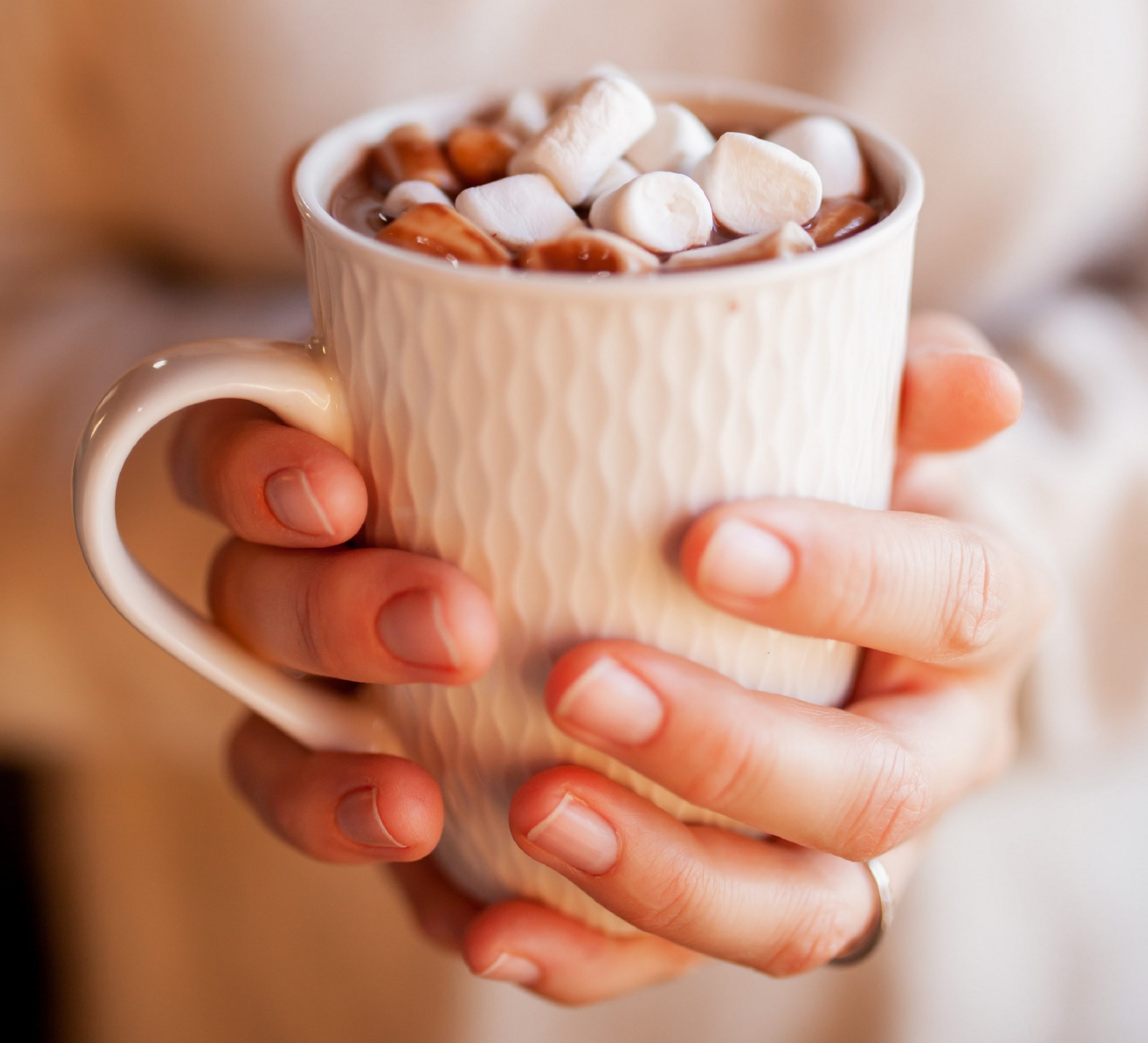 Person holds a mug of hot chocolate topped with mini marshmallows.