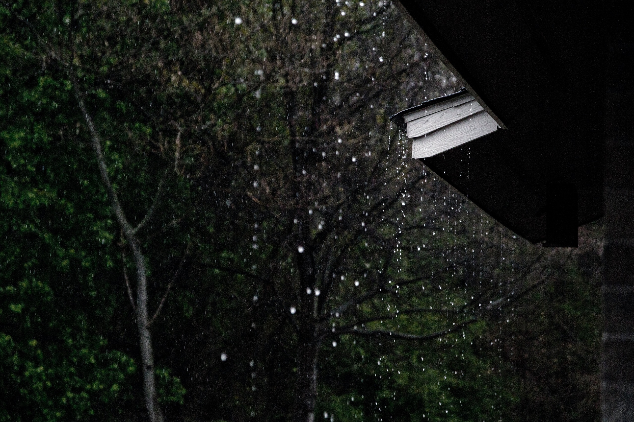Rain falls outside a house in the woods