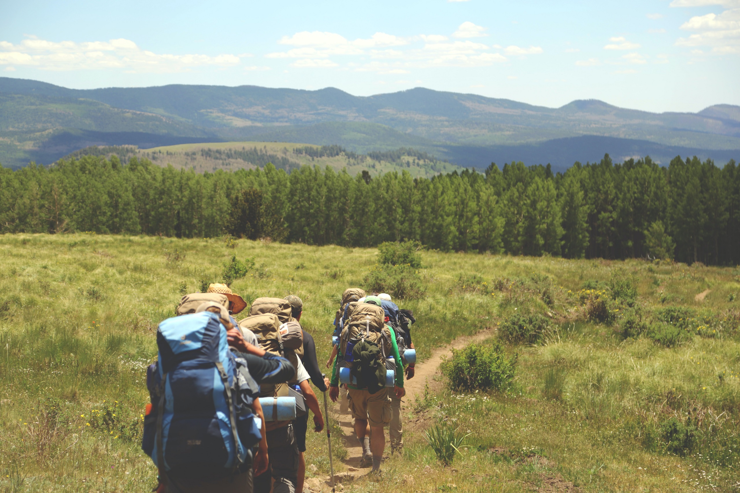 A group hikes along a trail that cuts through a meadow