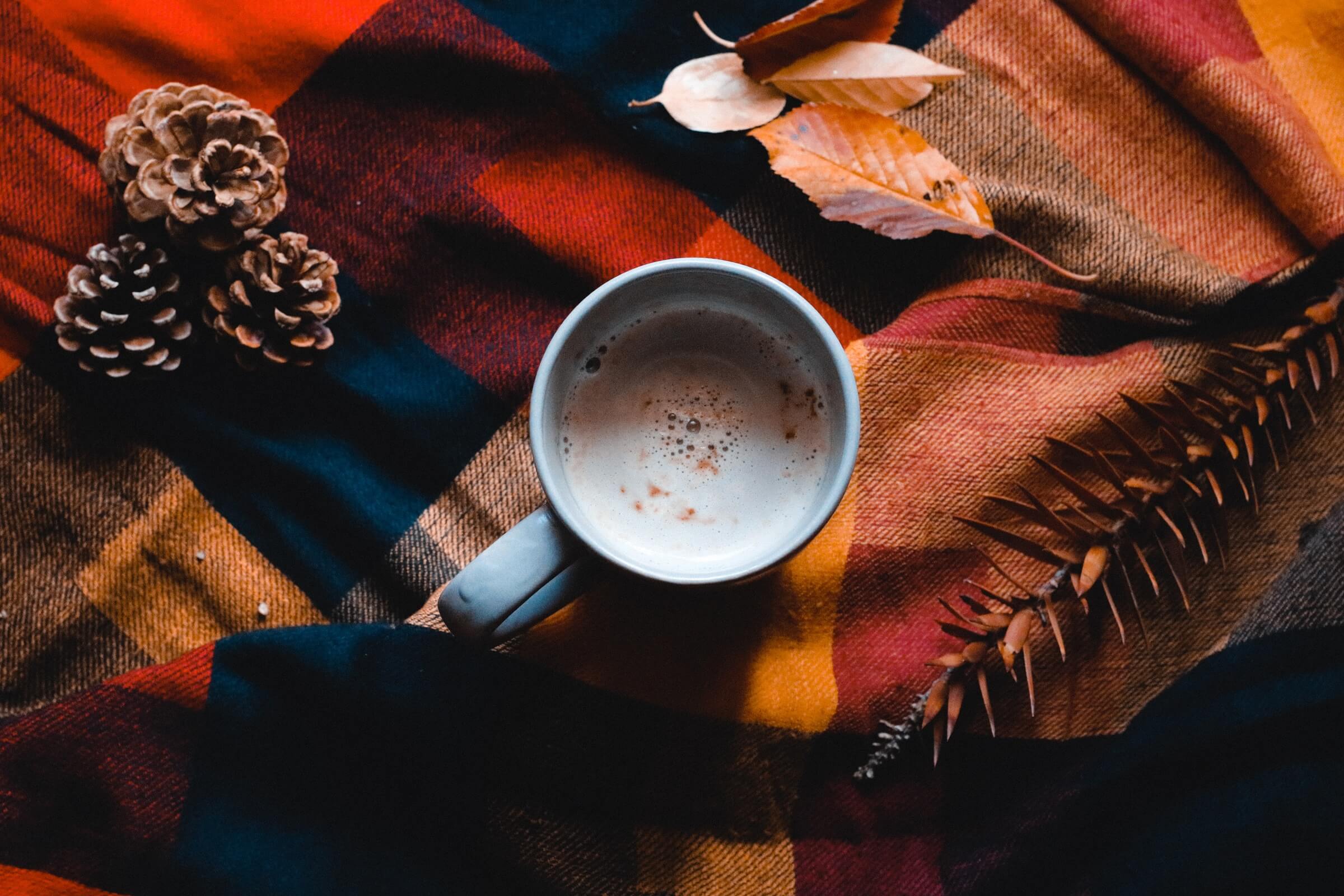 A mug of hot chocolate sits on a patterned scarf and is surrounded by scattered leaves and pinecones