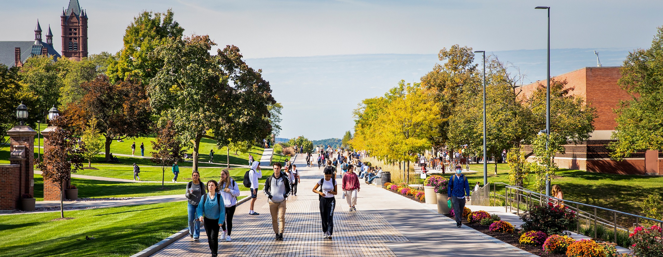 4 Reasons to Take the Orange Survey