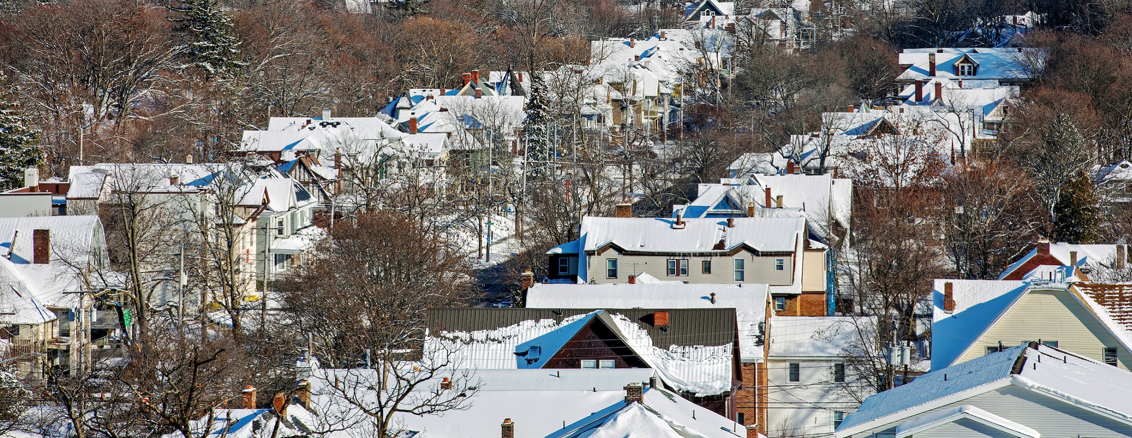 3 Reasons to Check Out the Off-Campus Housing Search Website