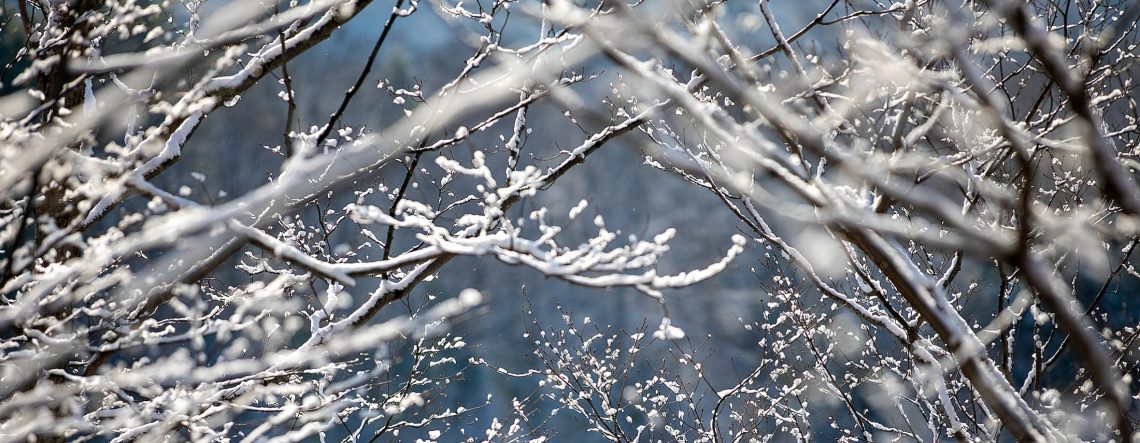 Embrace Winter Fun: Exploring Syracuse’s Snowy Delights
