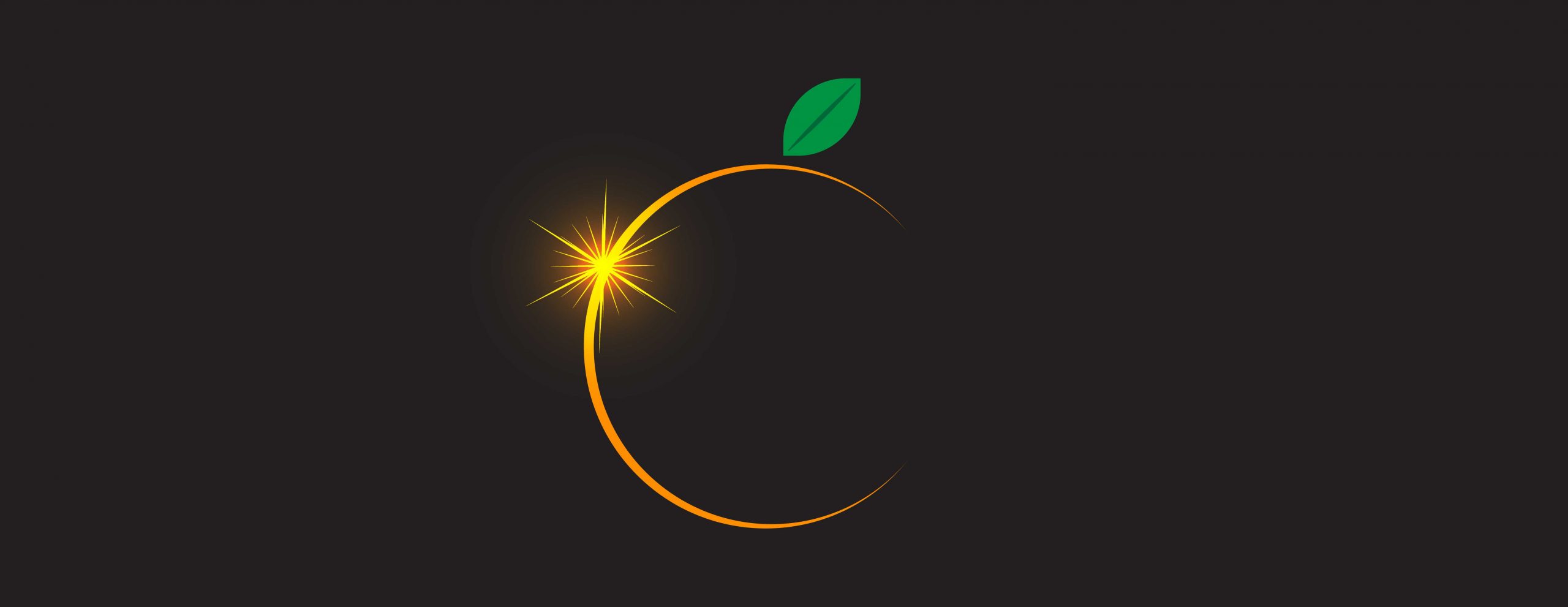 5 Ways to Celebrate the Total Eclipse