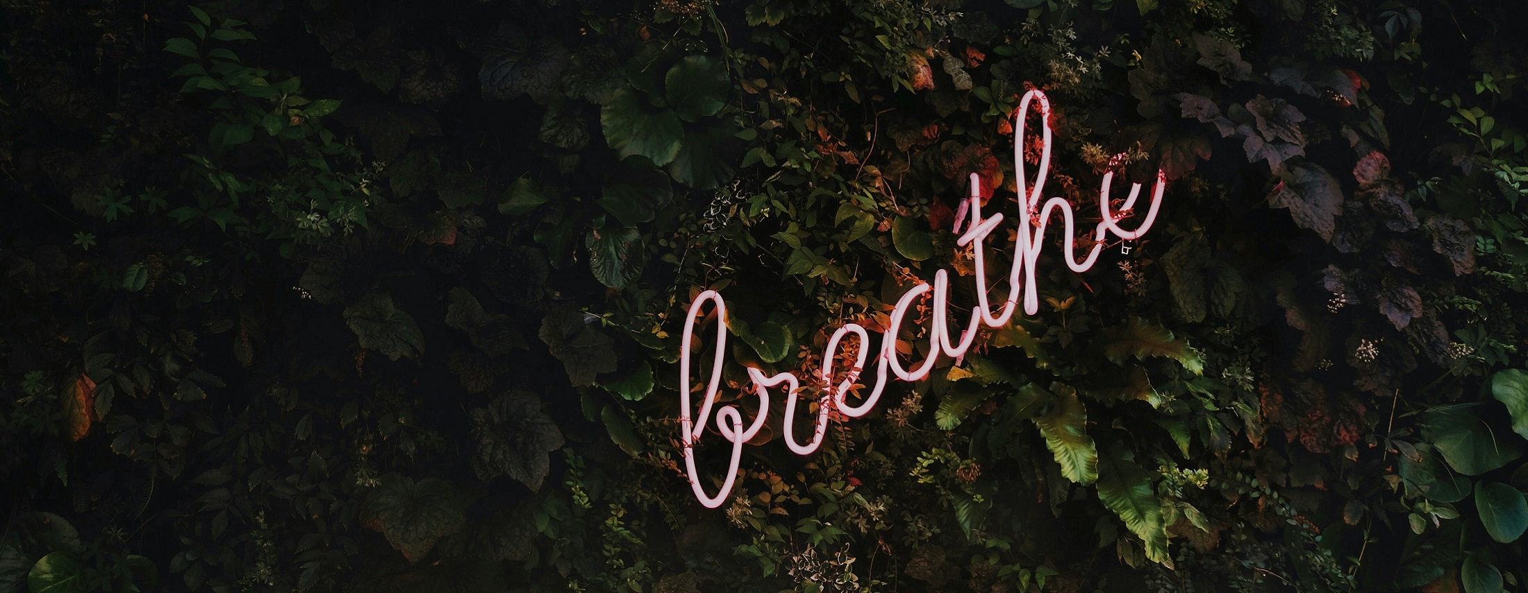 5 Realistic Ways to Manage Stress