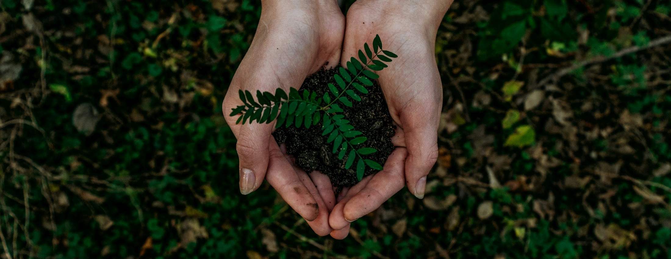 5 Ways to Live Sustainably as a College Student
