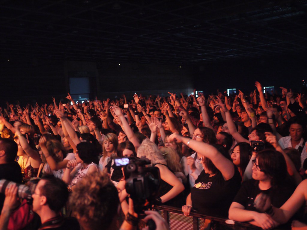 A crowd of people at a concert