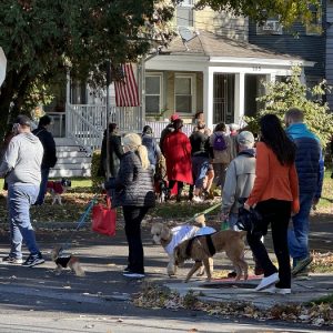 Costumed dogs and their owners walk in the Halloween Dog Parade