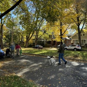 Costumed dogs and their owners walk in the Westcott Halloween Dog Parade