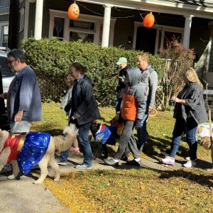 Costumed dogs and their owners walk in the Westcott Halloween Dog Parade