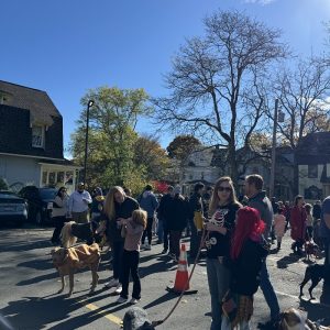 People and their costumed dogs mill around enjoying snacks after the parade