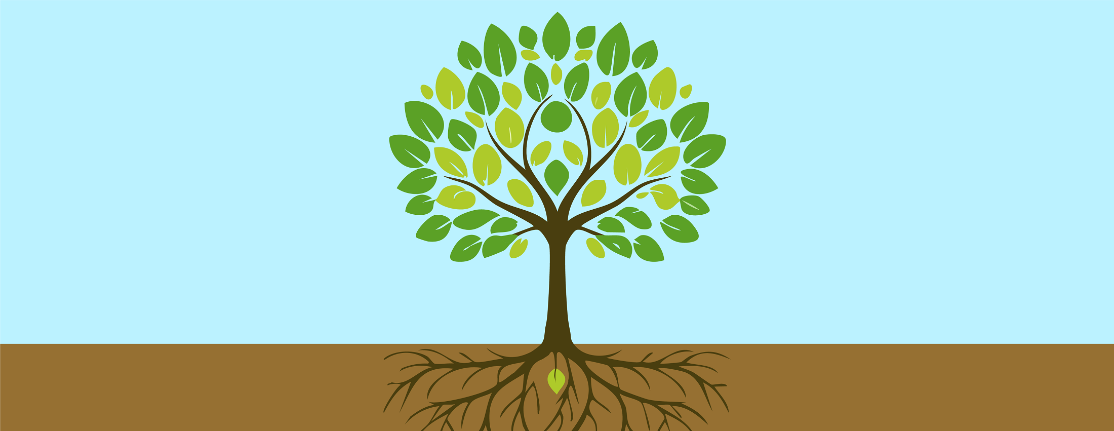 Falling Leaves, Rising Trees: Reframing Setbacks
