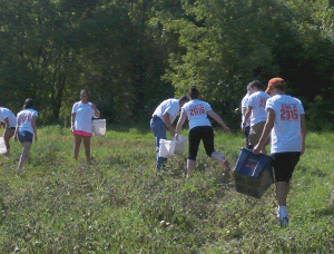 College of Law students pick produce on a farm in Tully during their orientation in 2012.