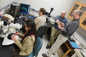 Members of the research team include, left to right, Mollie Manier, Stefan Lüpold, Scott Pitnick, and John Belote.