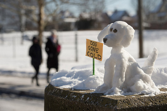 Getting to Know: Snow Sculptor Jackie Snow | Syracuse University News