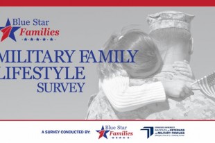 militaryfamily survey