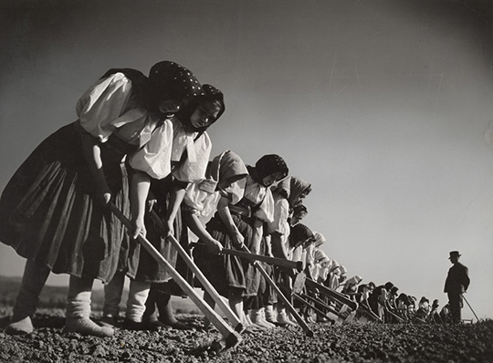 Margaret Bourke-White, [Women working in the field, Kostolná, Czechoslovakia], 1938 Courtesy of Special Collections Research Center, Syracuse University Libraries Photo © Estate of Margaret Bourke-White/Licensed by VAGA, New York, NY 