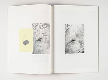 Spread from "Orchard Journal #2, Not Seen, Not Said," Raymond Meeks/ Wes Mills (Silas Finch, 2011)