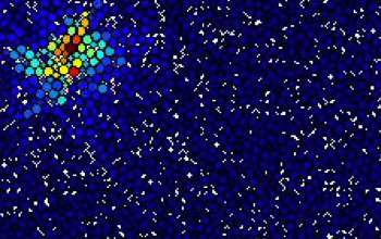 A localized mode in a simulated disordered packing of 2,500 soft particles. Red are regions that vibrate a lot and blue regions vibrate very little.  Credit: Sven Wijtmans and M. Lisa Manning, Syracuse University