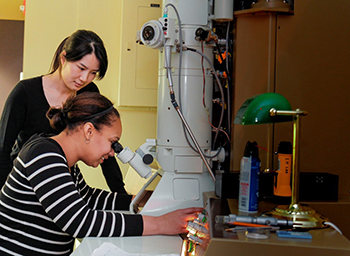 PhD. students Alisha Janae Lewis (seated) of Syracuse University and Wenjun Cai of ESF work in ESF's Baker Lab, where the new field emission scanning/transmission electron microscope will be located.