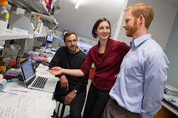 Researchers Jay Henderson Lisa Manning and Christopher Turner in the Syracuse Biomaterials Institute Lab. Manning was one of the presenters in the fall Computing Colloquy series.