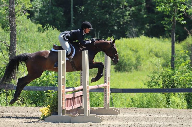 Prioritizing the Well-Being of Horses
