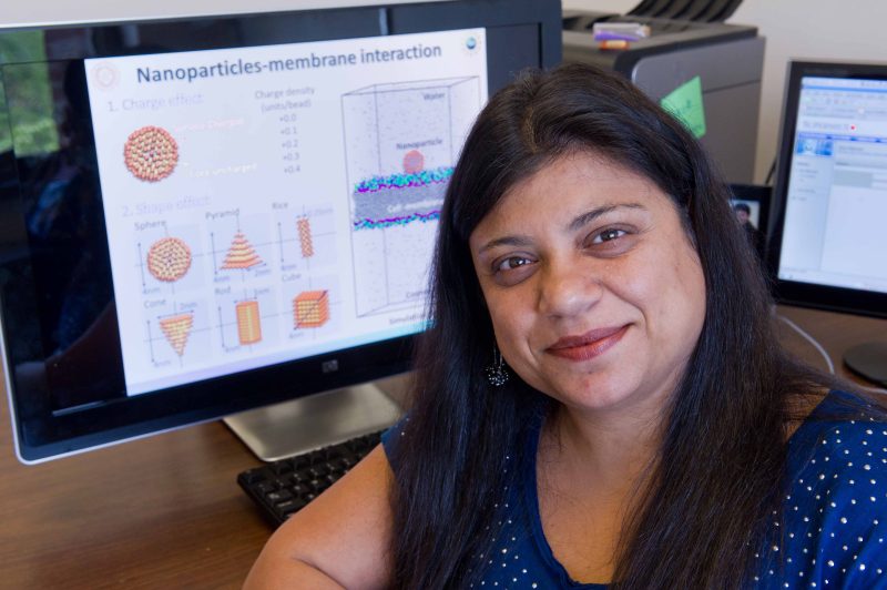 NIH ESTEEMED Grant to Enhance Diversity and Elevate Undergraduate Research in Bioengineering