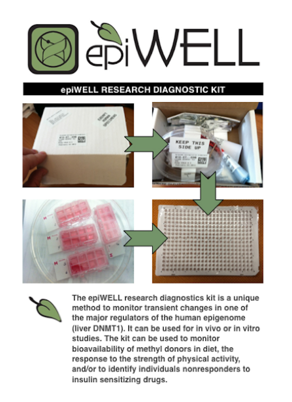 Epiwell