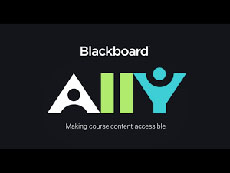 Black Board Ally logo