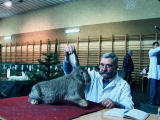 Scene from "Rabbits"