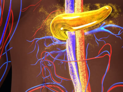 3D illustration of the pancreas secreting insulin