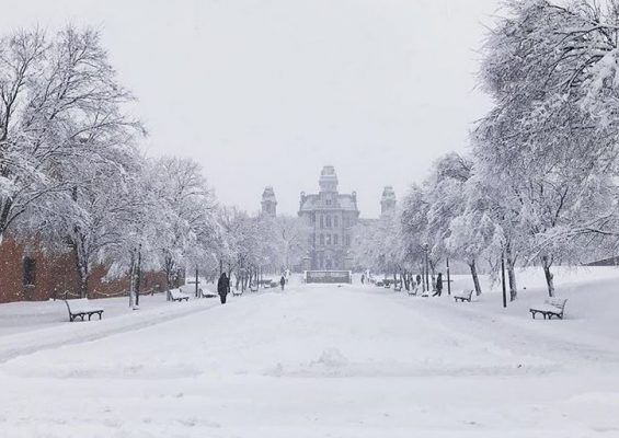 snow covered walkway in front of Hall of Languages