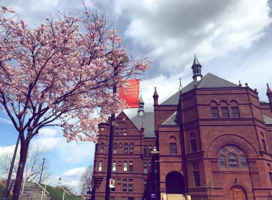 Crouse College with flowering tree in front