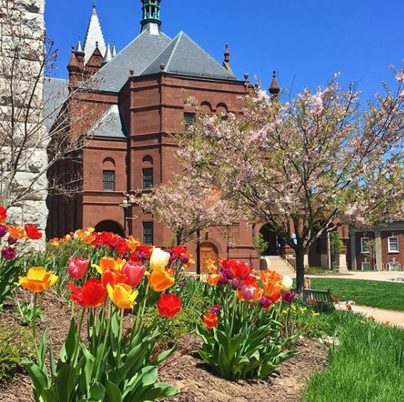 A photo of flowers in front of Crouse College