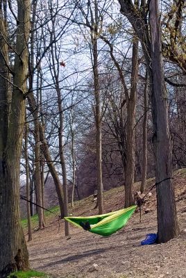person in hammock between two trees