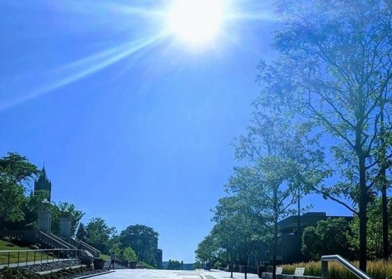 sun over campus walkway