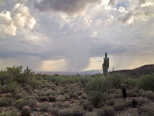 Monsoon activity on the Sonoran Desert, near Phoenix. (Courtesy of Nicholas Hartmann/Wikimedia Commons)